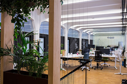 View of empty office with pot plant